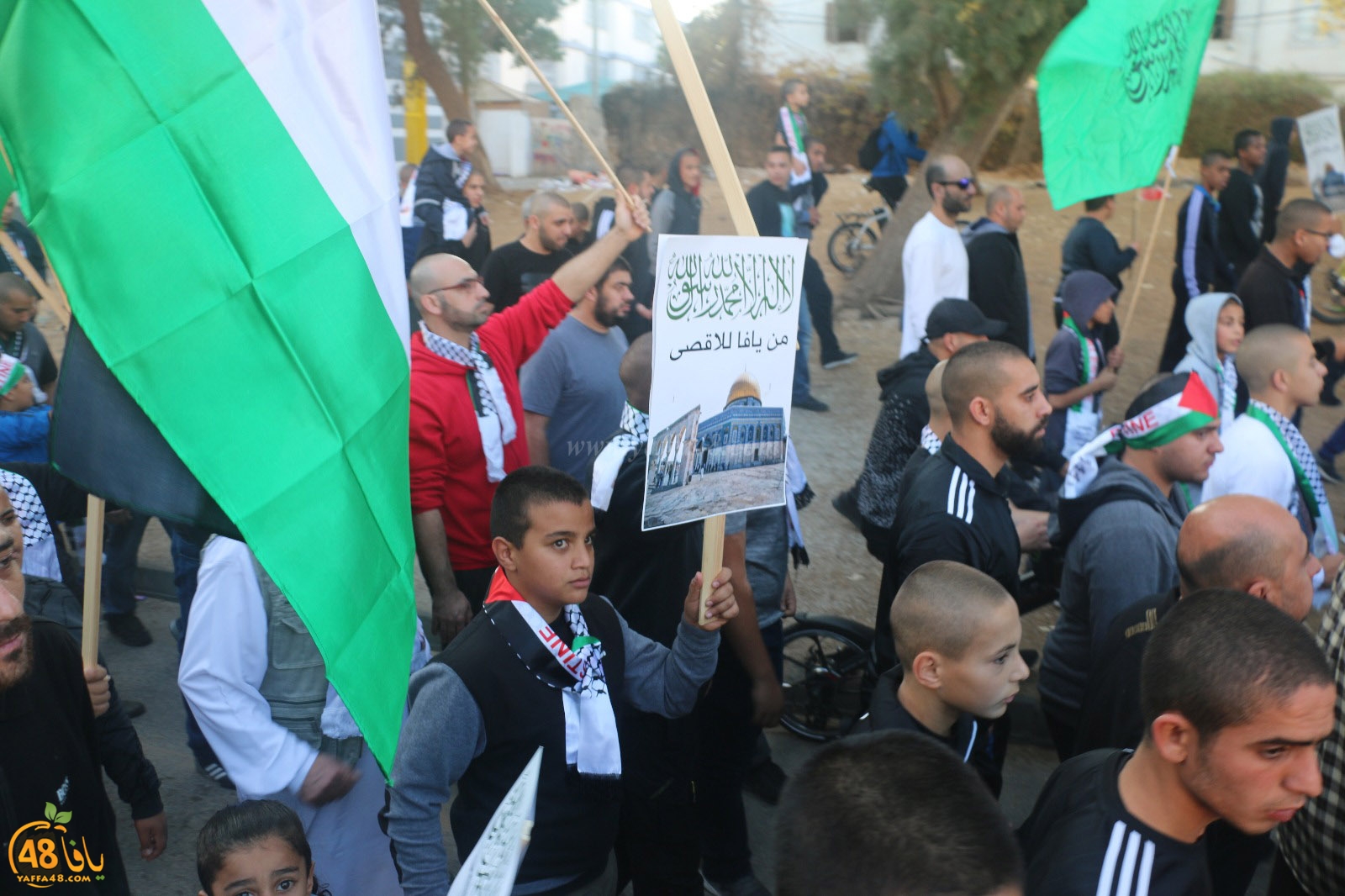 yaffa modahara jeq (47).jpg